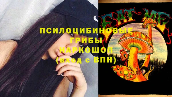 спиды Абаза